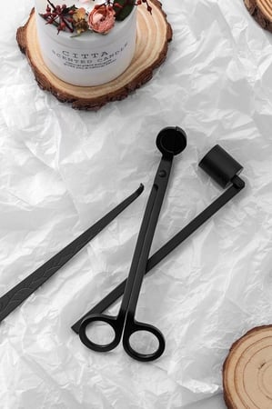 غصن الصنوبر