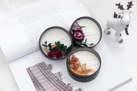 غصن الصنوبر