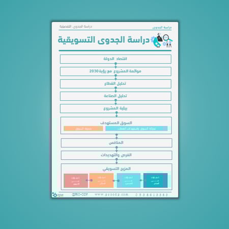 دراسة الجدوى