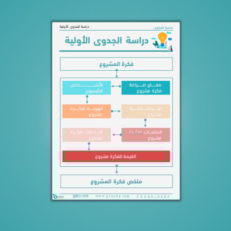 دراسة الجدوى