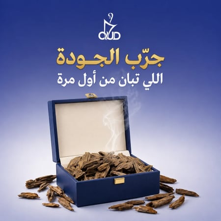 عود تايجر كمبودي الرسمي
