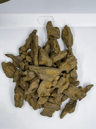 المروكي الرسمي أوقية