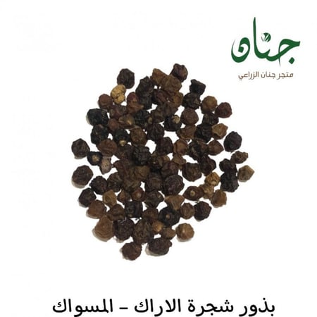 بذور الاراك - المسواك ( Salvadora Persica )
