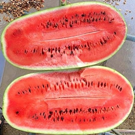 بذور البطيخ