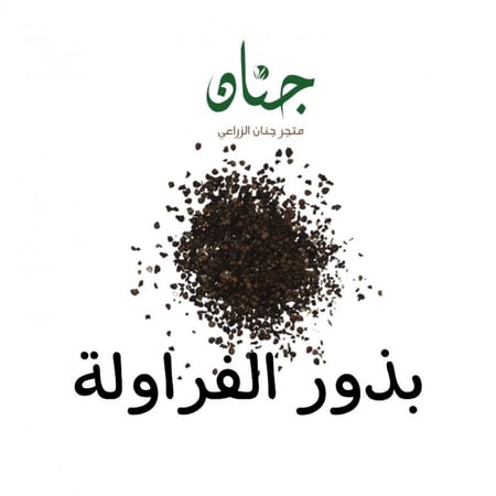 بذور الفراولة