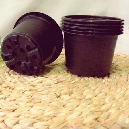 أكواب استنبات بلاستيكية