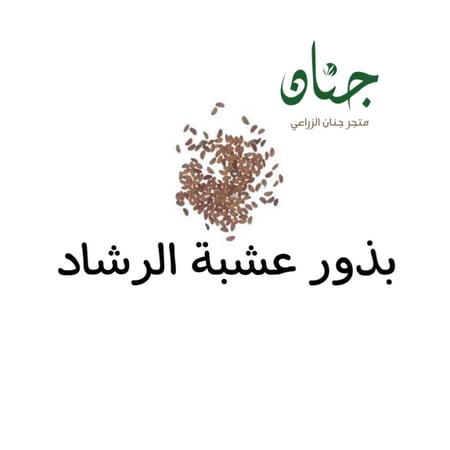 بذور عشبة الرشاد