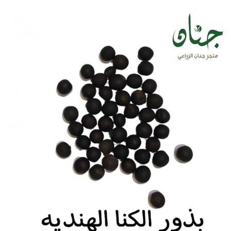 بذور الكنا الكانا الهندية