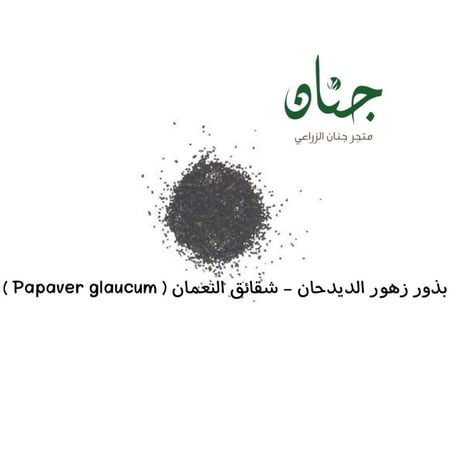 بذور الديدحان الأحمر - شقائق النعمان ( Papaver glaucum )