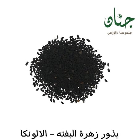 بذور زهور البفتة الوردية - البلدي ( Catharanthus roseus )