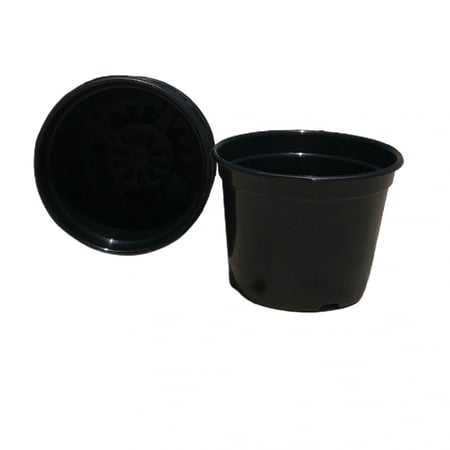 أكواب استنبات بلاستيكية