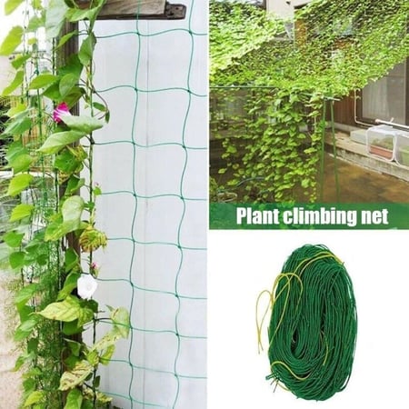 شبكة النباتات المتسلقة