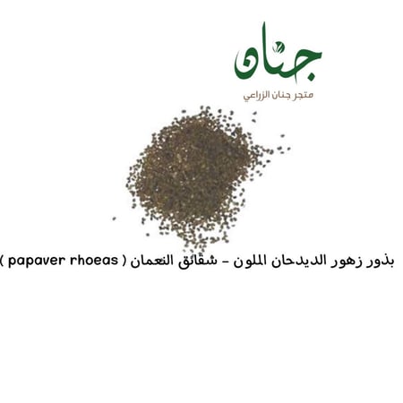 بذور زهور الديدحان الملون شقائق النعمان  papaver rhoeas