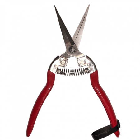 مقص ثمار وأزهار