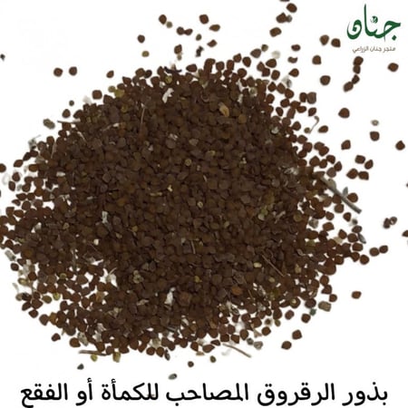 بذور الرقروق المصاحب لظهور الفقع أو الكمأ