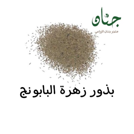بذور زهرة البابونج