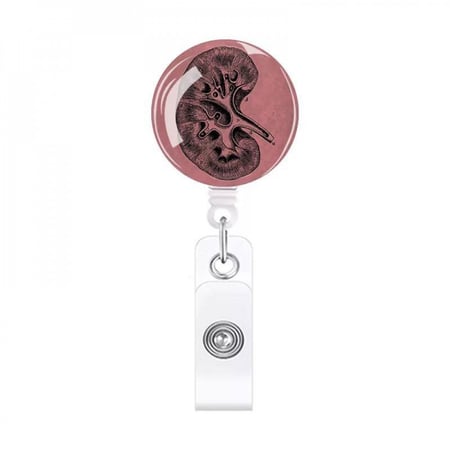 Kidney-Anatomy Badge Holder