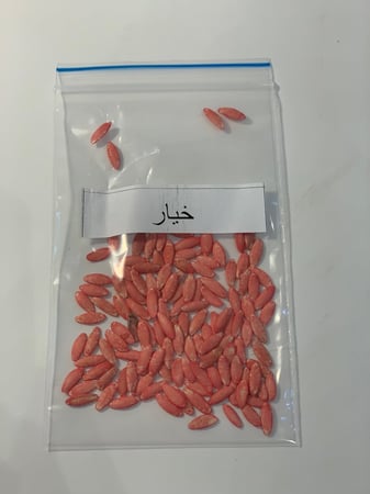 بذور خيار(5 قرام)