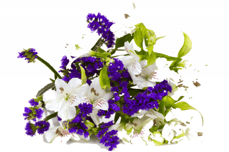 عسل الزهور البرية 250 جرام انتاج اوكراني RAW HONEY