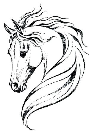 خيل (9) شاشة حريرية