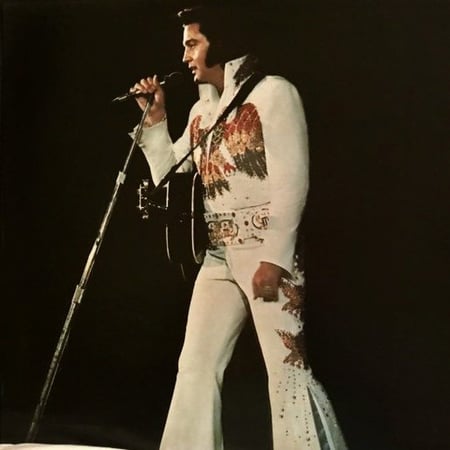 Elvis Presley - Elvis In Concert