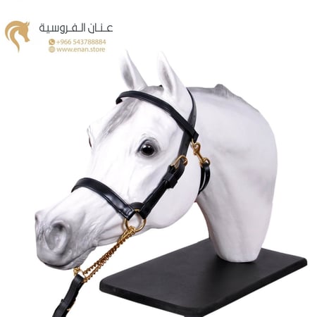 TRAINING HALTER