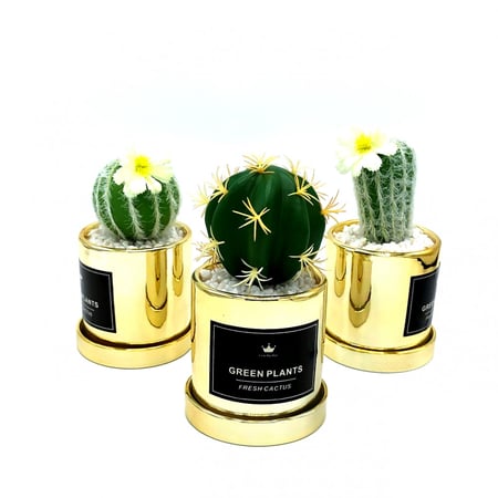 تحفة ذهبية زجاجية شجر صبار