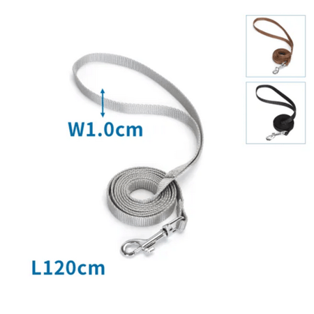 حبل مقود الكلاب غير قابل للانزلاق اطول 120 العرض2.0 بعدة الوان