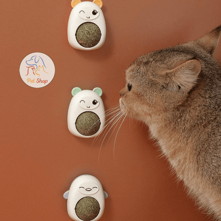 لعبة حائط مع كورة كاتنيب بالداخل للقطط