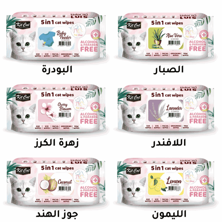 كت كات مناديل معطرة 5 في 1 للقطط 80 حبة – عناية مثالية برائحة منعشة لجميع احتياجات قطتك