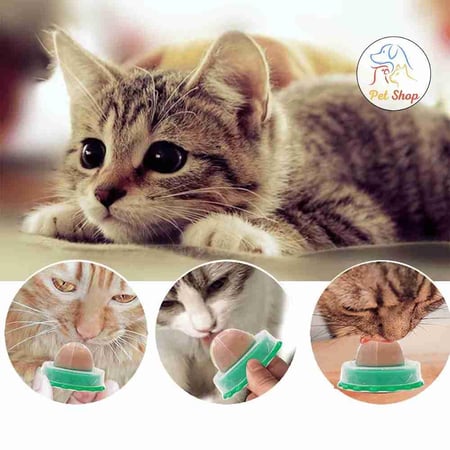 حلاوة الكاتنيب للقطط قابلة للصق على الجدار