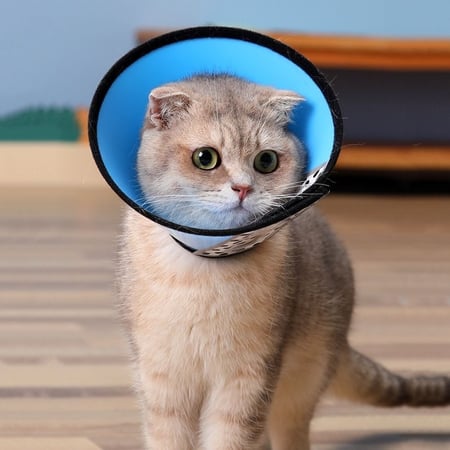 طوق عمليات عدة الوان ومقاسات