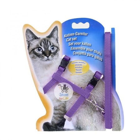 صدارية قطط عدة الوان