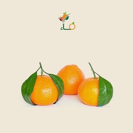 يوسفي- متجر  فاء للخضار و الفواكه