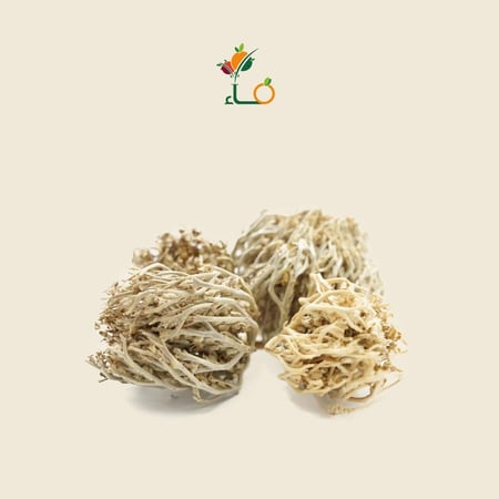 كف مريم-متجر فـــــــاء