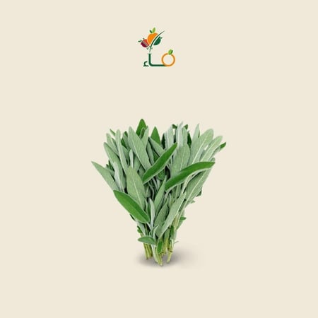 مرامية-متجر فــــــــاء