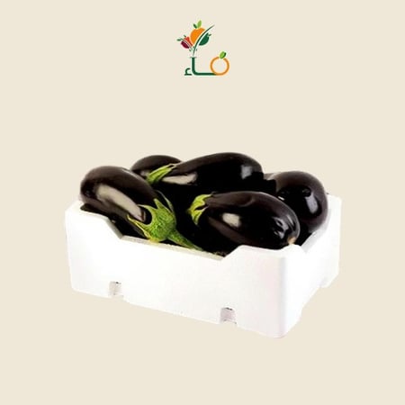 باذنجان فلين كبير-خضار-متجر فاء للخضار والفواكه