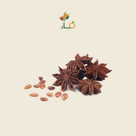 نجمة اليانسون-متجر فـــــــــاء