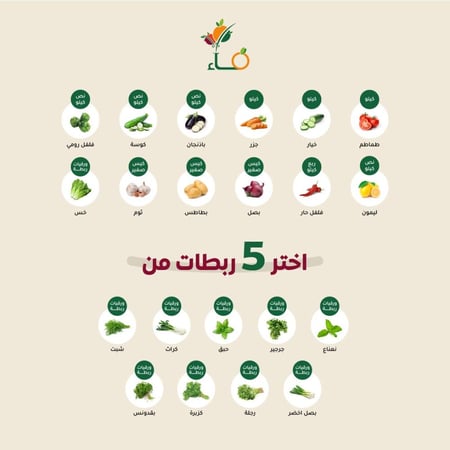 صندوق البيت