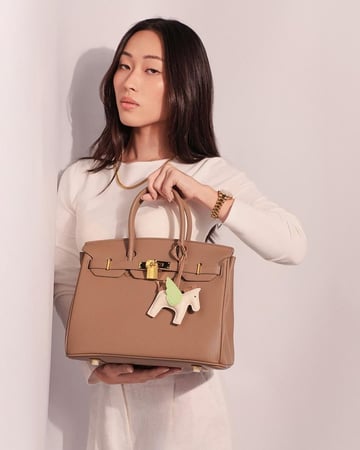 شنطة نسائية بتصميم كلاسيك بلون بني