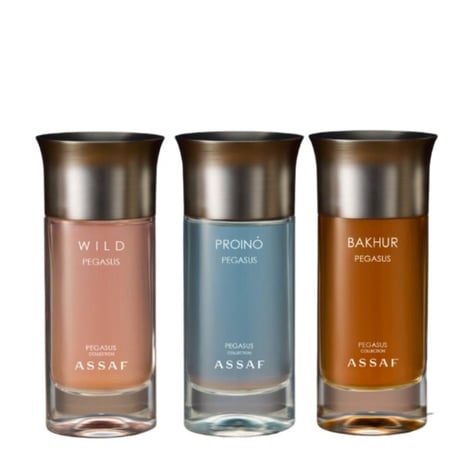 مجموعة بيقاسوس من عساف