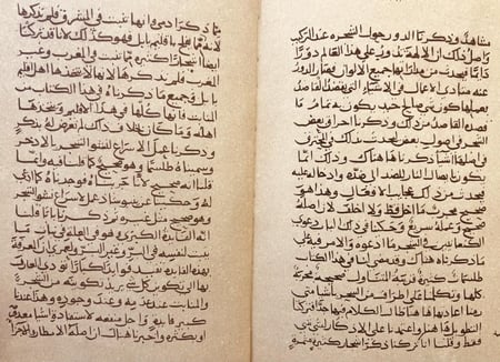 4956-الفلاحة النبطية الجزء السابع/ابن وحشية صورة مخطوط