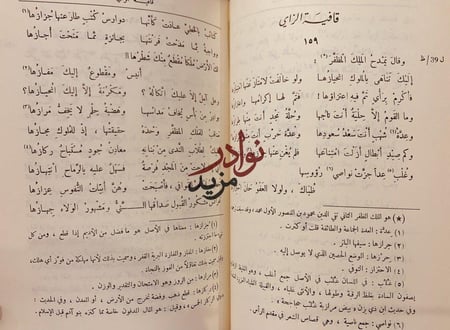 ديوان الصاحب شرف الدين الانصاري/عمر موسى