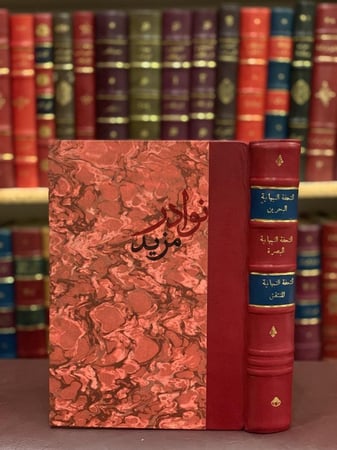 كتاب التحفة النبهانية في امارات الجزيرة العربية البحرين البصرة المنتفق محمد النبهاني مطبعة الآداب بغداد