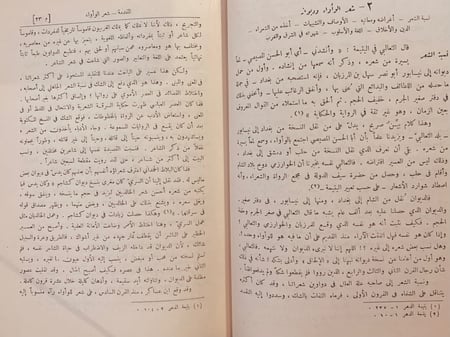 1033-ديوان الواواء الدمشقي/سامي الدهان