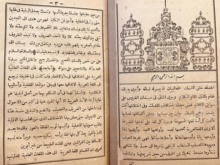 22534-التحفة الوفائية في اللغة العامية المصرية /وفاء امين