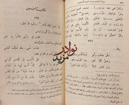 ديوان الصاحب شرف الدين الانصاري/عمر موسى