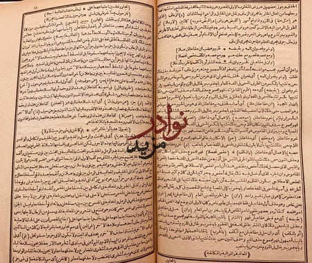 حاشية الصبان على منظومته في علم العروض