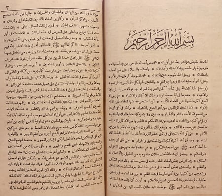 13326-مشتهى الخارف الجاني في رد زلقات  التجاني الجاني/محمد الخضر