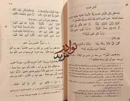 الشعر والشعراء 2/1مجلد واحد /ابن قتيبة